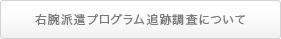 右腕派遣プログラム2014年公募について